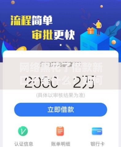 网络黑花了借款新口子是什么？如何识别风险与正规渠道对比