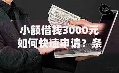 小额借钱3000元如何快速申请？条件与流程全解析