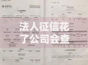 法人征信花了公司会查吗？企业贷款征信审核全解析
