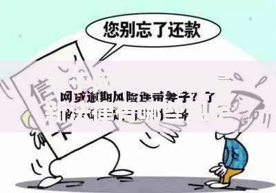 关于网贷逾期的最新法律有哪些规定？逾期后果与应对策略解析