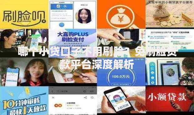 哪个小贷口子不用刷脸？免刷脸贷款平台深度解析