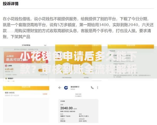 小花钱包申请后多久能下款？审核到账全流程解析