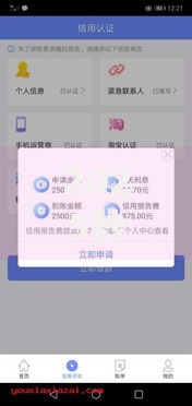 2025秒过借款口子：如何实现即时放款与风险规避？