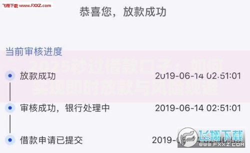 2025秒过借款口子：如何实现即时放款与风险规避？