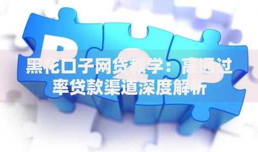 黑花口子网贷教学：高通过率贷款渠道深度解析