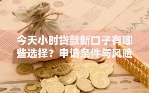 今天小时贷款新口子有哪些选择？申请条件与风险解析