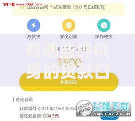 有哪些纯机身的贷款口子审核快额度高