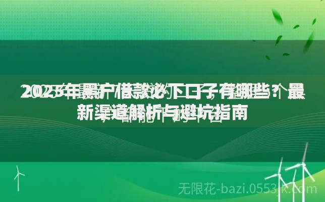 2025年黑户借款必下口子有哪些？最新渠道解析与避坑指南
