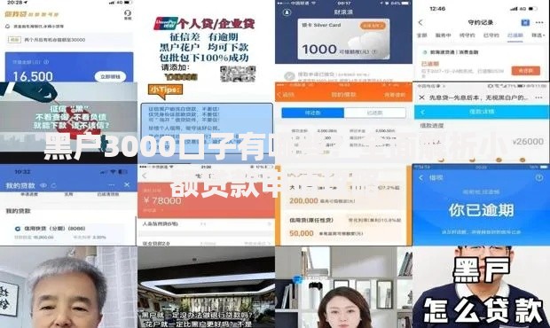 黑户3000口子有哪些？全面解析小额贷款申请攻略