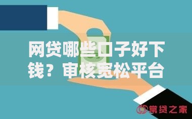 网贷哪些口子好下钱？审核宽松平台深度解析