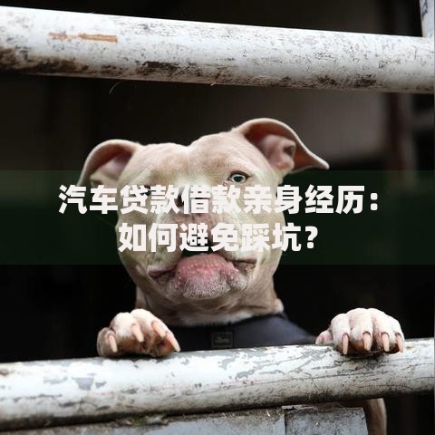 汽车贷款借款亲身经历：如何避免踩坑？
