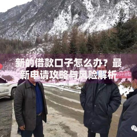 新的借款口子怎么办？最新申请攻略与风险解析