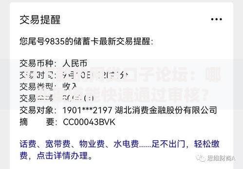 好下款的网贷口子论坛：哪些渠道能快速通过审核？