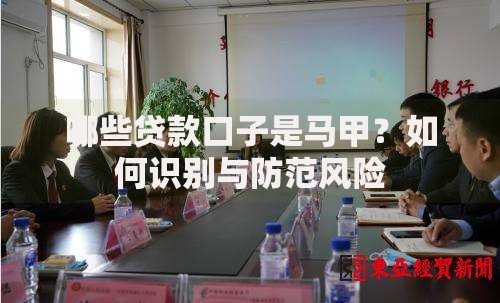 哪些贷款口子是马甲？如何识别与防范风险