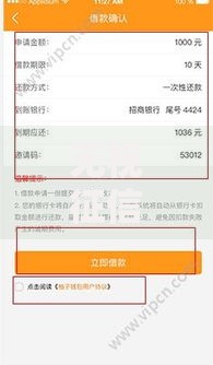 无视征信花和负债的贷款：快速下款低门槛解决方案