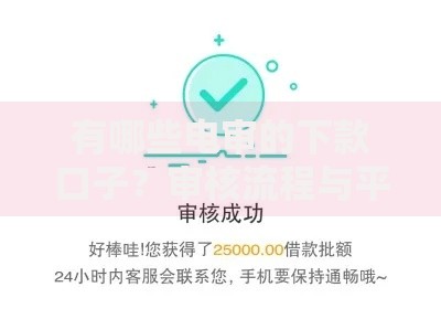 有哪些电审的下款口子？审核流程与平台选择解析