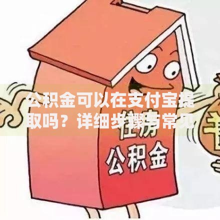 公积金可以在支付宝提取吗？详细步骤与常见问题解答
