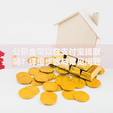 公积金可以在支付宝提取吗？详细步骤与常见问题解答