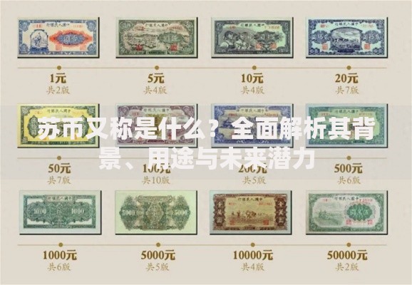 苏币又称是什么？全面解析其背景、用途与未来潜力