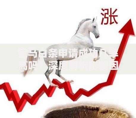 猎马白条申请成功几率高吗？深度解析影响因素与技巧