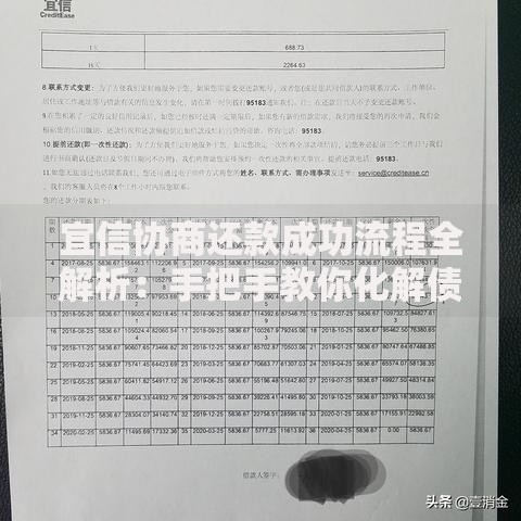 宜信协商还款成功流程全解析：手把手教你化解债务难题