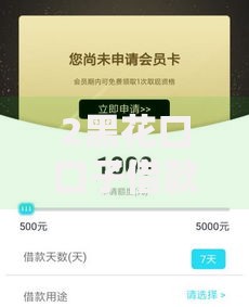 2黑花口口子借款秒过如何申请？审核流程解析