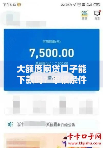 大额度网贷口子能下款吗？审核条件与额度真相