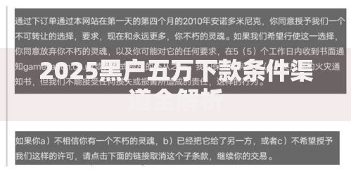 2025黑户五万下款条件渠道全解析