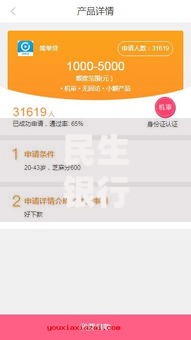 民生银行贷款口子放宽，如何申请低息资金？