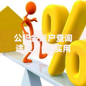 公积金账户查询途径：5种实用方法帮你快速查余额