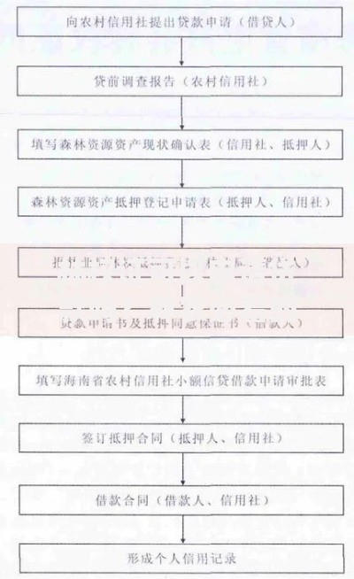 林权证可以申请贷款吗？林农必看的抵押流程与政策详解