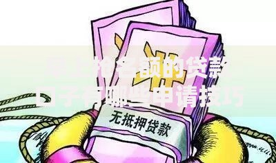 早上抢名额的贷款口子有哪些申请技巧和风险？