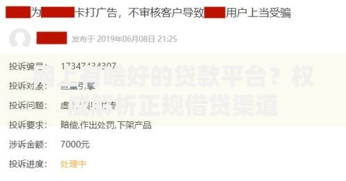网上有啥好的贷款平台？权威解析正规借贷渠道