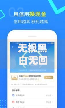无视黑白无回访的口子：快速放款渠道深度解析