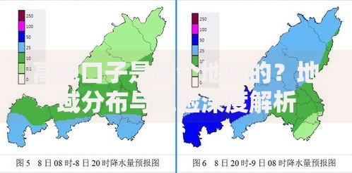高炮口子是哪个地区的？地域分布与风险深度解析