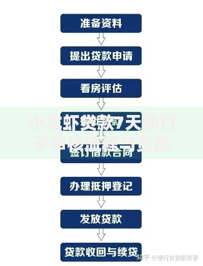 小龙虾贷款7天新口子审核流程与资质要求解析