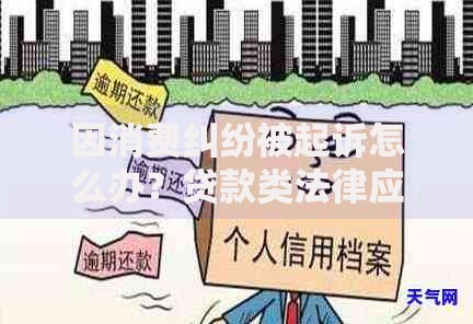 因消费纠纷被起诉怎么办？贷款类法律应对指南