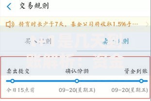 t+1是几天到账解析：资金到账时间与常见问题梳理