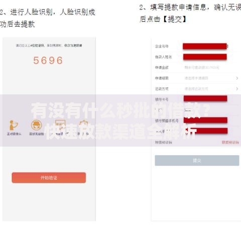 有没有什么秒批的借款?快速放款渠道全解析 有没有什么秒批的借款?快速放款渠道全解析