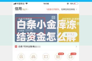 白条小金库冻结资金怎么解？三步快速解锁技巧分享