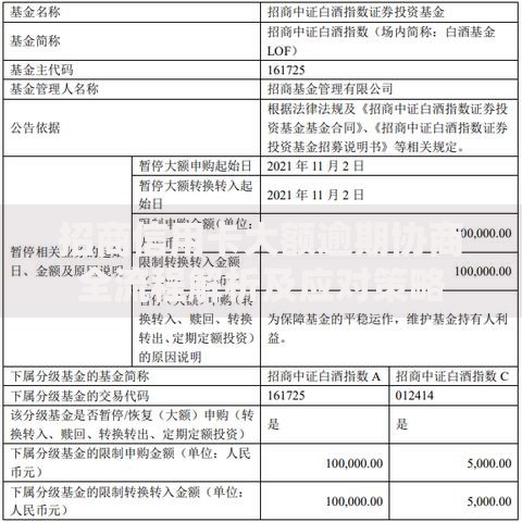 招商信用卡大额逾期协商全流程解析及应对策略