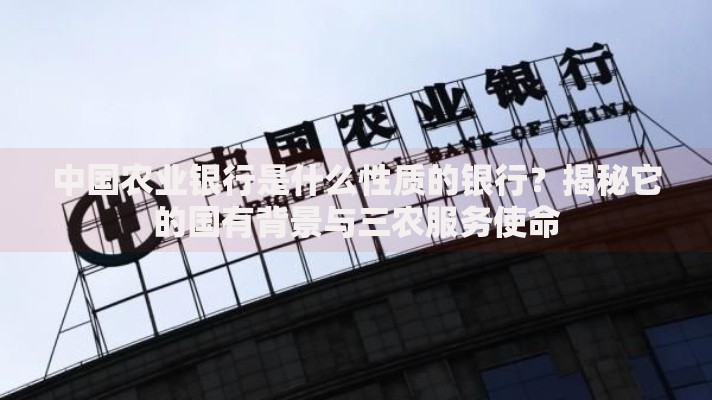 中国农业银行是什么性质的银行？揭秘它的国有背景与三农服务使命