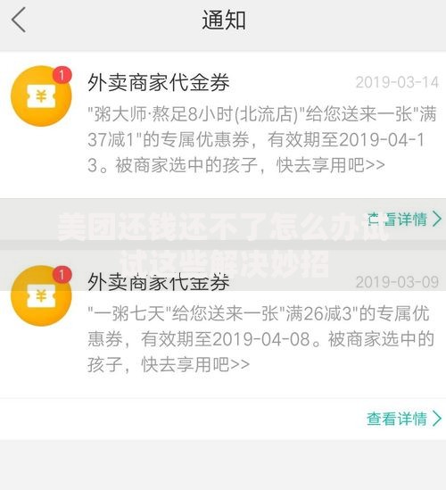 美团还钱还不了怎么办试试这些解决妙招