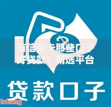有信用卡那些口子好贷款？精选平台与申请技巧解析
