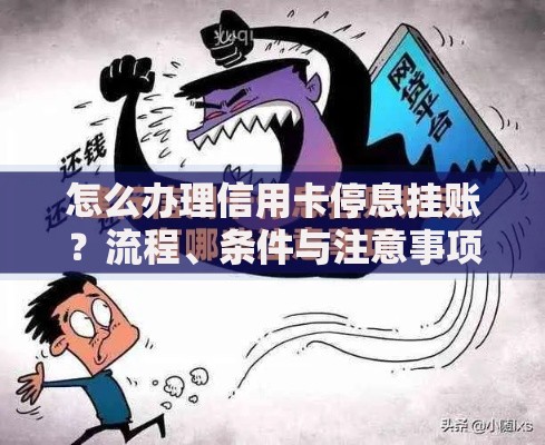 怎么办理信用卡停息挂账？流程、条件与注意事项全解析