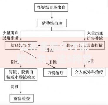 公积金怎么才能取出来？这5种常见情况都能申请，流程一次说清！