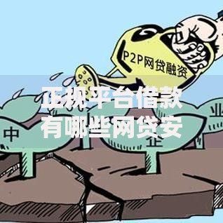 正规平台借款有哪些网贷安全可靠