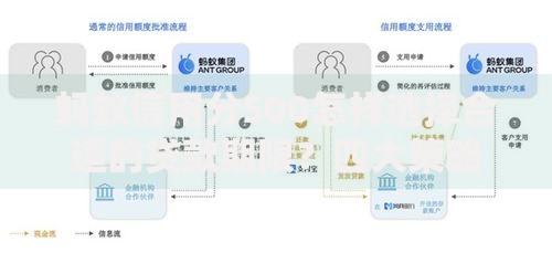 蚂蚁信用分500怎样选择合适的贷款期限？四大策略解析