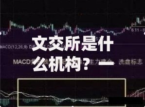 文交所是什么机构？一文搞懂运作模式与投资指南