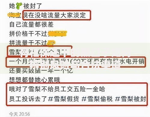 有社保还下的黑口子如何辨别风险与合法渠道